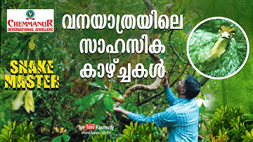 WOW! The Adventurous journey of the forest | Vava Suresh | Snakemaster EP 384