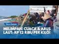 Panen Udang usai Gempa Pangandaran! Cerita Nelayan Sekali Jaring Dapat Banyak: Penghasilan Meningkat