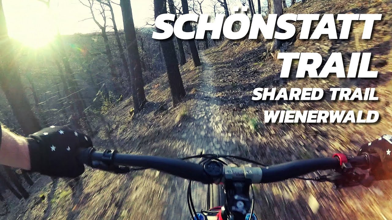 Schönstatt Trail - Shared Trail | Wienerwald Trails (YT Jeffsy)