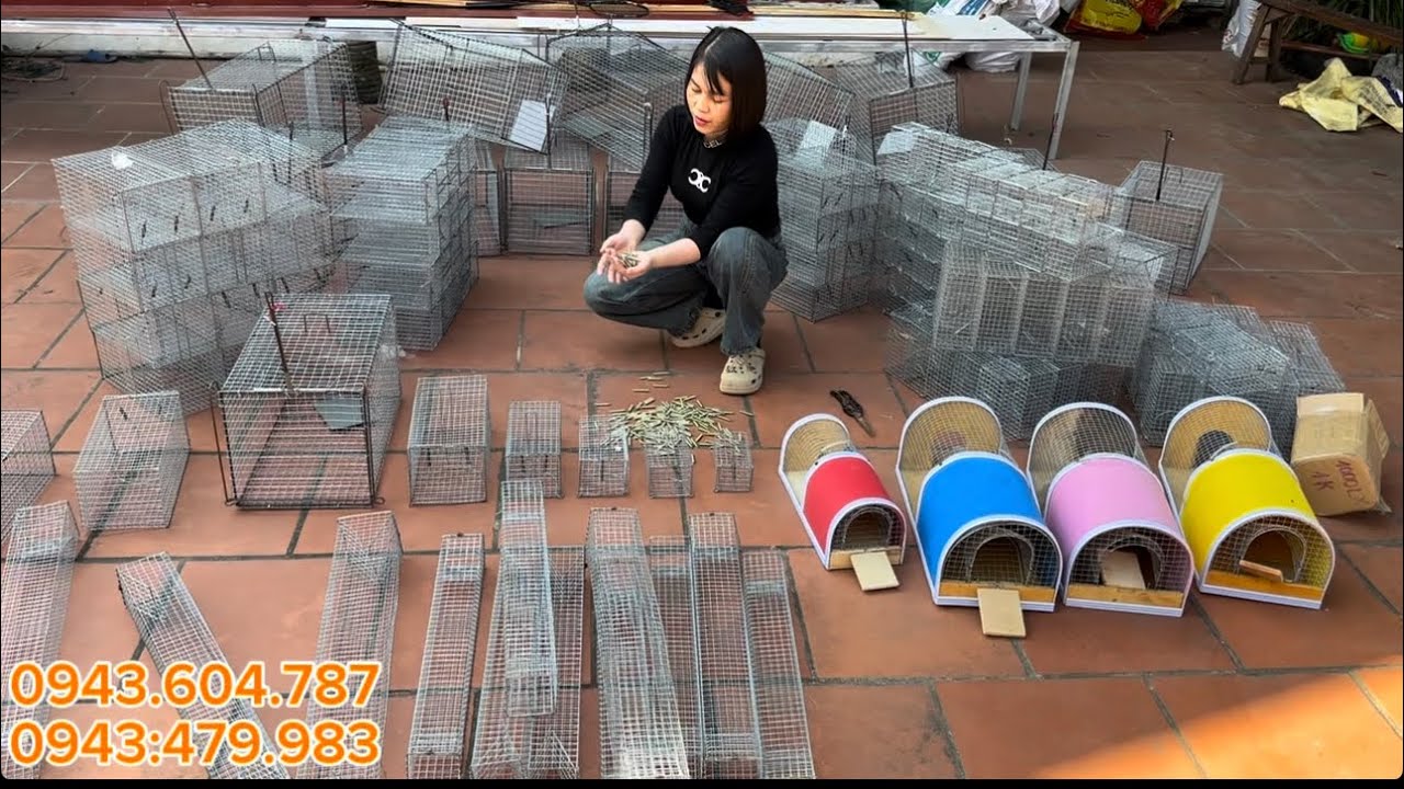 🆘🆘❌MUA LỒNG EM TẶNG LÒ XO 😘 LỒNG CHUÔT🆘🆘🆘