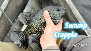 Crappie fishing in the swamp! Crystal Clearwater