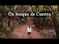 ANAGA, UN BOSQUE DE CUENTO | TENERIFE #1