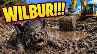 #55 Day Two On Pond......WILBUR!!!!!!!!!!!!!!!!!!!!!!! 😮