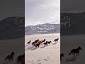 إنهم يرونه بعيدا و نراه قريبا Viral اكسبلور المصحف تجل ي 