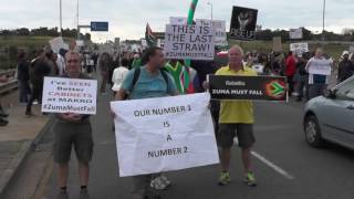 Zuma Must Fall