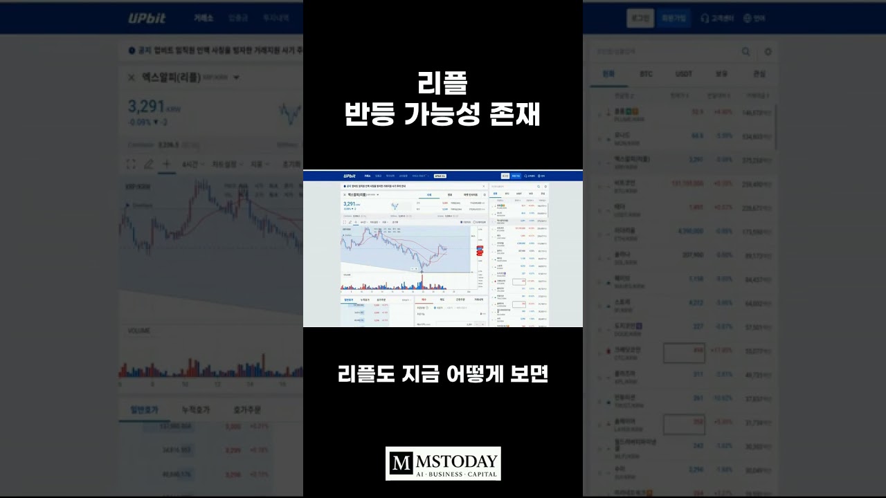 머니쇼츠-영상] 리플 반등 가능성 존재 - MS TODAY