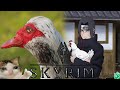 Skyrim RfaD SE 4.0 Dev v2. Всё ещё в поисках билда.