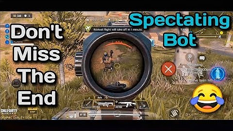 Spectating Random Bot Teammates | Don