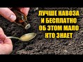 1 Ложку на ведро воды и земля как новая! Пролейте этим землю для обильного урожая всего!