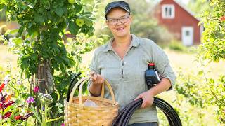 Så har jag byggt upp bevattningen i min köksträdgård | Skillnadens Trädgård 2026 – Del 14 screenshot 3
