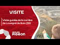 Visite guide de la carrire de louvign de bais 35