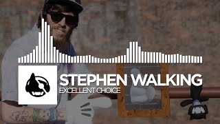 Video thumbnail of "Stephen Walking - Excellent Choice"