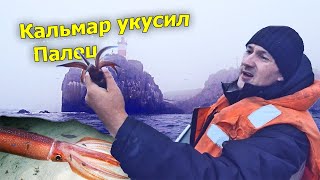 Клёв КАЛЬМАРА ночью на спиннинг! Рыбалка с лодки на воблер и кальмарницы. Поймали бочку кальмаров.