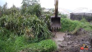 GALEGO CAPIXABA limpeza de RIO com escavadeira hidráulica