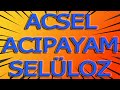 BİST 100 ACSEL ACIPAYAM SELÜLOZ HİSSE TEKNİK ANALİZ #ACSEL TL VE DOLAR BAZLI  HİSSE YORUMU
