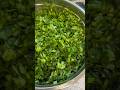 Afghan Bolani Bolani Recipes Farhaddarya Foodie Culture Loveafghanistan Yummy Homemade Easyrecipes Afghan Bolani Bolani Recipes Farhaddarya Foodie Culture Loveafghanistan Yummy Homemade Easyrecipes