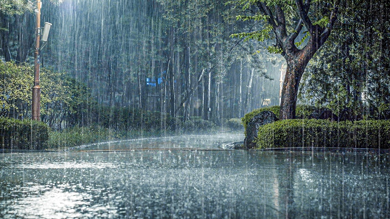 [불면증 완화] 쏟아지는 빗소리에 모든 걱정을 씻어내세요 | 깊은 잠, 백색소음, 불안 해소