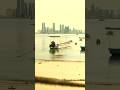 Bahrain’s Food Scene Is Quietly Elite | Rice  #shorts #rice #bahrain #arab #arabic #travel #food