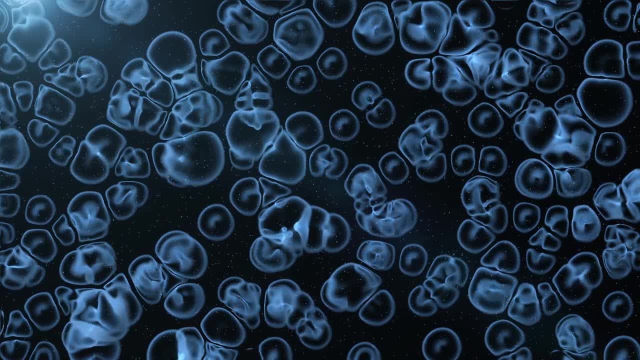 Movement Of Biological Cells Stock Motion Graphics - YouTube