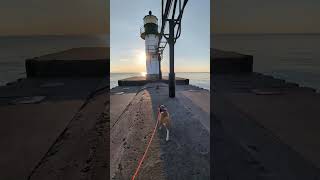 The Lake was very still this evening.#boxerdog #dogboxer #greatlakes #lakemichigan #peaceful