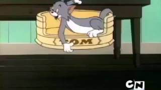 Том и Джери новые серии 2015 Мультфильм Том и Джерри в HD качестве Том и Джери новые серии 2015 Мультфильм Том и Джерри в HD качестве