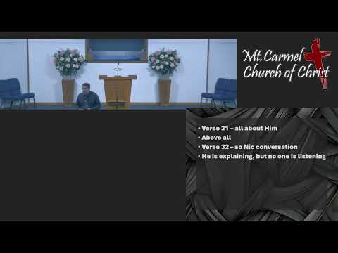 Video preview