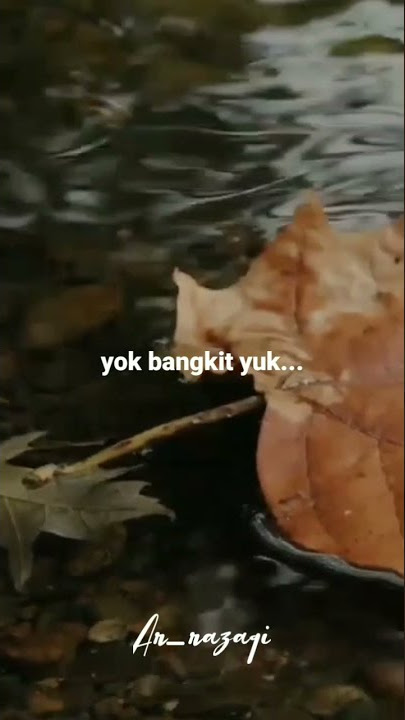 Story WA 30 Detik terbaru ~Bangkit yuk~