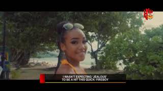 HOW I GOT SIGNED TO OLAMIDE'S YBNL - FIREBOY DML