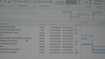 Programacion Obras MS Project video 5