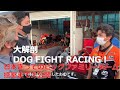 大解剖DOG FIGHT RACING！　全日本きってのビッグファミリーチーム　控室まで大公開