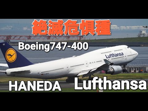 Lufthansa Boeing747-400 D-ABVM ルフトハンザ航空 hqdefault.jpg