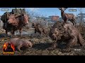 Animals of the apocalypse | FALLOUT 4 LORE