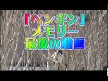 Ep19 スズメの「ペンギン」の最後の動画です