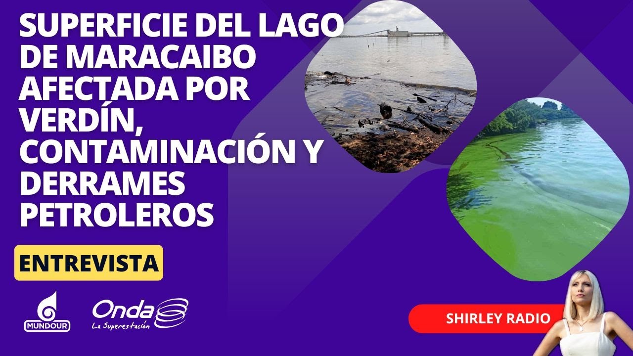 70% de la superficie del Lago de Maracaibo afectada por verdín, contaminación y derrames petroleros