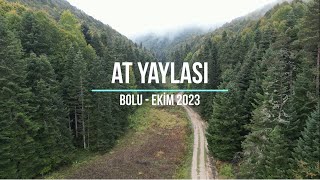 At Yaylası - Bolu - Ekim 2023 (DJI Mini 3 Pro - DJI Avata)