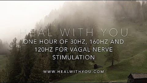 One Hour Solfeggio Frequencies For Vagal Nerve Stimulation | 30Hz, 160Hz, and 120Hz