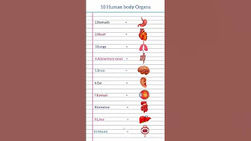 10 Human Body Organs Heart Brain Liver Lungs Gk Knowledge Important 