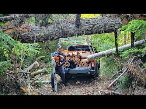 Clearing a Backroad and Hauling Firewood for My Cabin