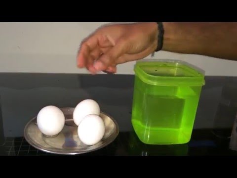 How to test Egg / How to differentiate fresh egg and rotten Egg ( Tamil )