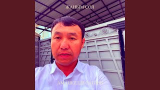 Жаным сол