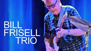 BILL FRISELL TRIO | NATTJAZZ 24