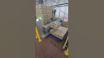 First RB2000 Palletisers Installed In Europe | Reeco Automation