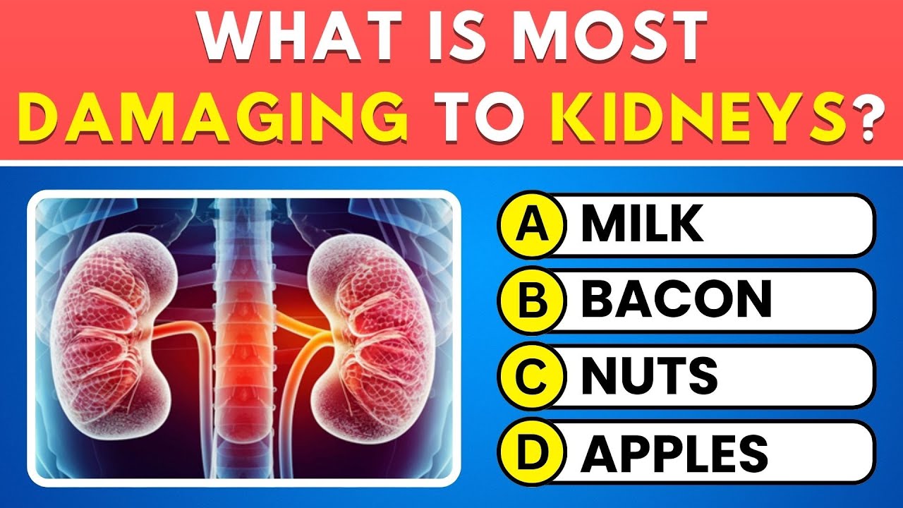 Can You Pass This Human Body Quiz? 🧠 30 Question Anatomy Trivia ...