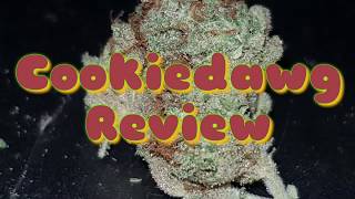 New cannabis strain Review UK(cookie dawg) plus my new bong rig