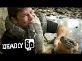 Steve étranglé Par Un Boa Constrictor Mortel 60 BBC Earth Kids mp3
