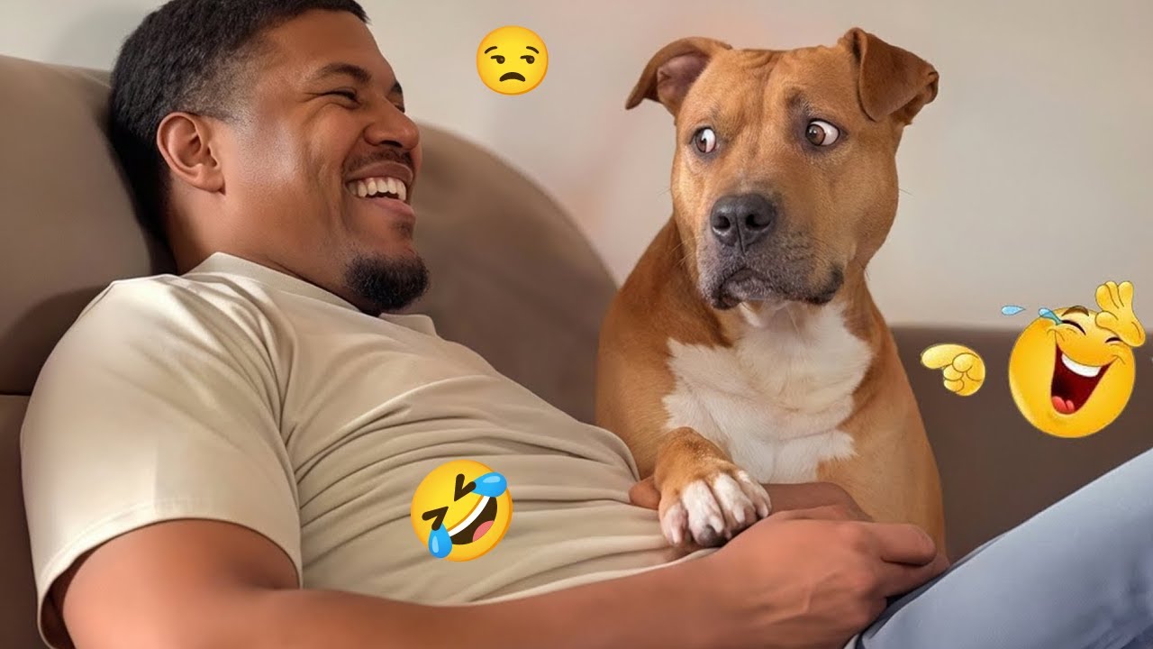 You Will Cry Laughing 🤣🐶 The Funniest Dog Clips Compilation 🐾 #13