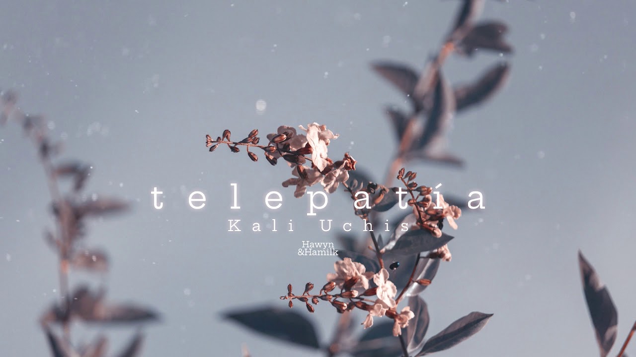 • Vietsub/Lyrics • Kali Uchis 'telepatía' | Hawyn & Hamilk
