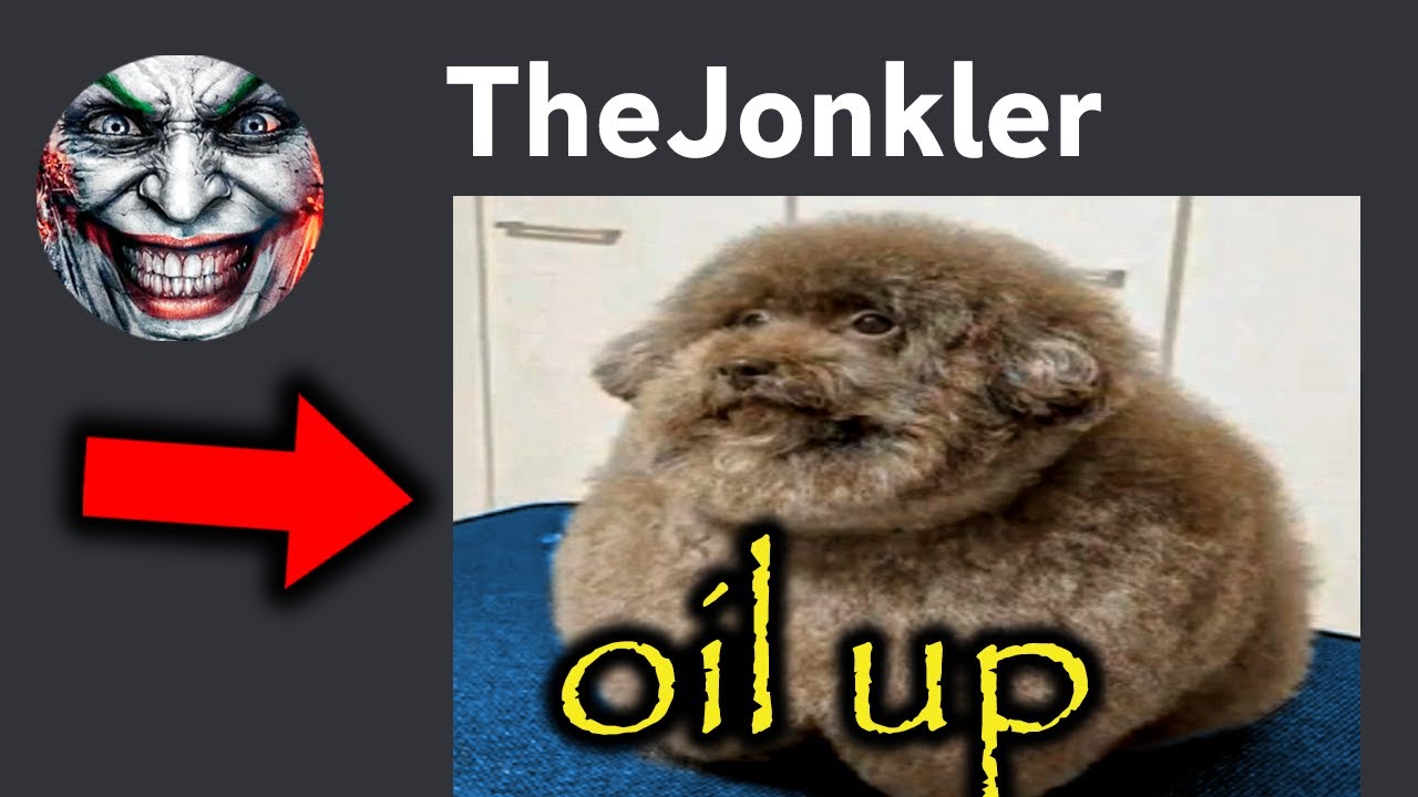 MY DISCORD SENT US 𝓯𝓻𝓮𝓪𝓴𝔂 MEMES