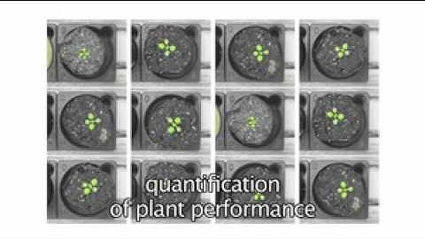 Plant Phenomics by LemnaTec