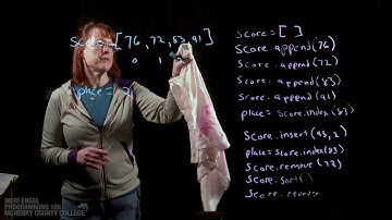 Chapter 7.4: List Methods & Built in Functions - PRG105